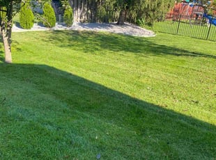Nick K.'s Lawn Mowing service result