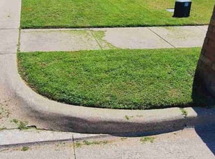 Brittany F.'s Lawn Service service result