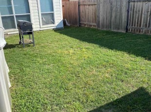 Natalie T.'s Yard Cutting service result