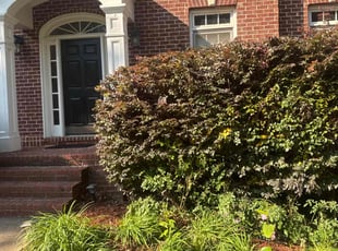 Bush Trimming by William Perry for Micheal S. in Mableton, GA