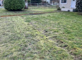Leaf Removal by Rebecca Montague for Andrew W. in Shoreline, WA