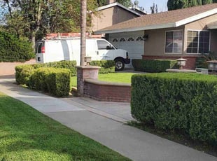 Bush Trimming by Antonio Ruiz for Joseph R. in Rialto, CA