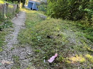 Bush Trimming by Reginald Oakes for Jennifer P. in Pittsburgh, PA