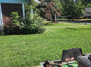 Cirricka W.'s Lawn Mowing Service service result