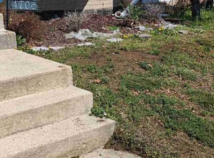 Bush Trimming by Andres Fernando Forero galindo for Melissa T. in Capitol Heights, MD