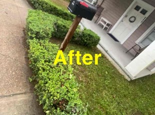 Bush Trimming by Patsy Robinson for Adam P. in Tallahassee, FL