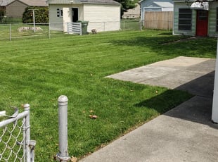 Leaf Removal by Chris Lehman for Mike D. in Maumee, OH