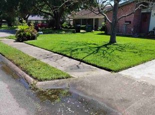 Tina J.'s Yard Cutting service result