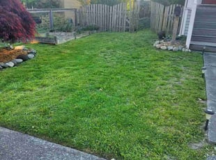 Brenda I.'s Lawn Service service result