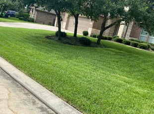 Rosilene B.'s Lawn Mowing service result