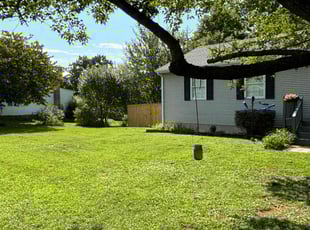 PETRINA T.'s Lawn Mowing service result