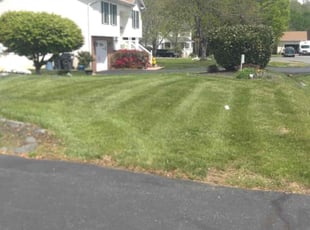 Clarence T.'s Lawn Care service result