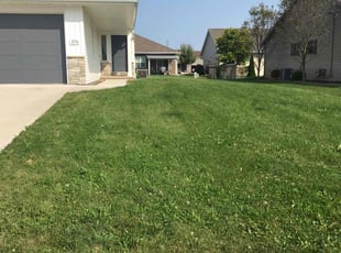 Joseph C.'s Lawn Mowing service result