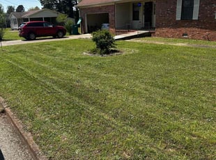 Megan N.'s Grass Cutting service result