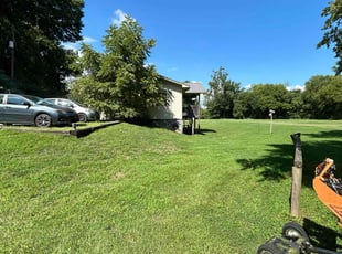 Hal P.'s Yard Cutting service result