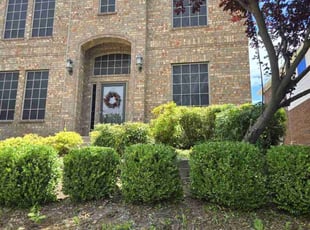 Bush Trimming by Adriana Salgado for Gerry G. in Rockwall, TX
