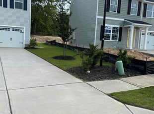 Matt G.'s Lawn Mowing service result