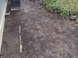 Leaf Removal by Kristofel Simbajon for Ricki H. in Seattle, WA