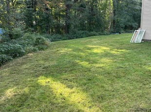 Aerrin P.'s Lawn Mowing Service service result