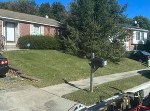 Rose M.'s Yard Cutting service result