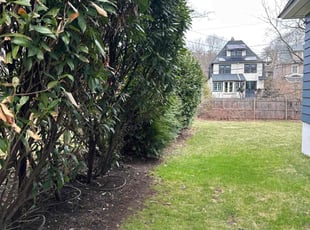 Bush Trimming by Wally Krake for Roy S. in Montclair, NJ