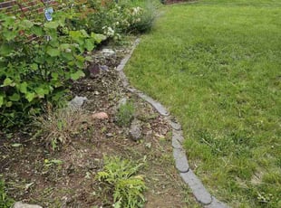 Cleanups by Josh Brown for Matt K. in Denver, CO