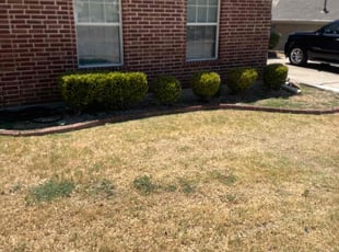 Bush Trimming by Maurice Washington for Lasheerah M. in Dallas, TX