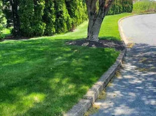 Thalia A.'s Lawn Mowing Service service result