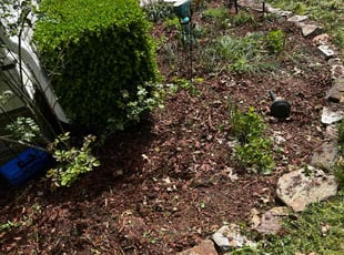 Weeding by Theodore Weir for Michelle B. in Norfolk, VA