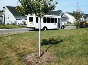 Bush Trimming by Ryan Reitzel for Ahmed F. in Blaine, MN