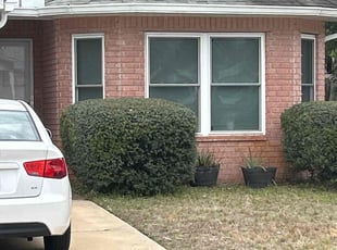 Bush Trimming by Guilherme Silveira for Abdul S. in Mary Esther, FL