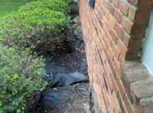 Leaf Removal by Rumell Turner for Robin E. in Farmington Hills, MI