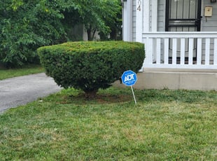 Bush Trimming by Christensen Ransom for Tiara B. in Columbus, OH