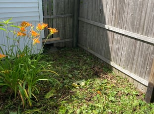 Landscaping by Donald Smith for Stan R. in Albany, NY