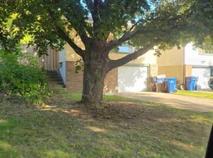 Cleanups by Kyle Anderson for Kaylee F. in Saint Paul, MN