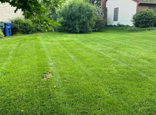 Larry G.'s Grass Cutting service result