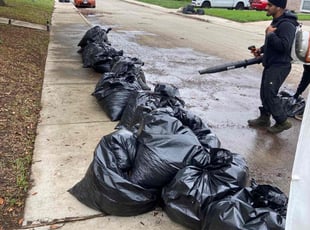 Cleanups by Shameem Mohmand for Laura L. in Carrollton, TX