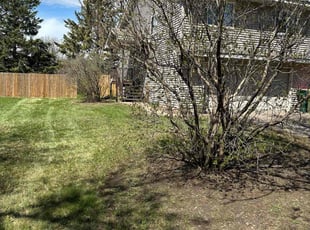 Leaf Removal by Anna Wolfe for Joyce H. in Minneapolis, MN