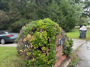 Bush Trimming by Kanu Agabi for Jacqueline S. in Snellville, GA