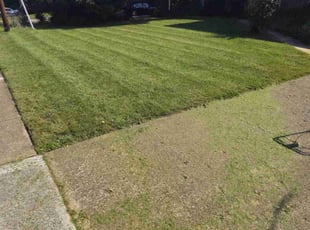 Oganya U.'s Lawn Care service result