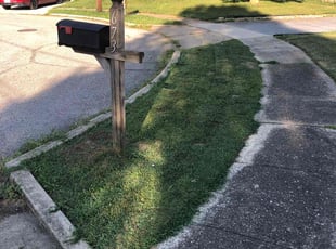 Jason P.'s Lawn Mowing service result