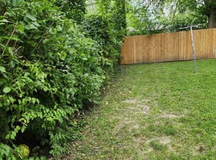 Bush Trimming by Ramiro Vicente for Gaye B. in Saint Charles, MO