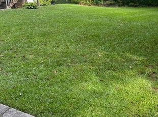 Scott M.'s Lawn Mowing service result