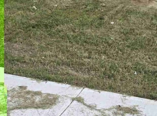 Janet B.'s Cleanups service result