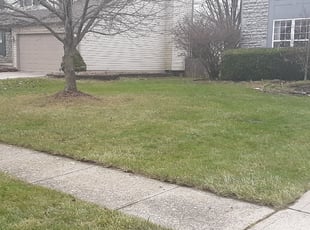Leaf Removal by David Walton for Yibo Y. in Lewis Center, OH