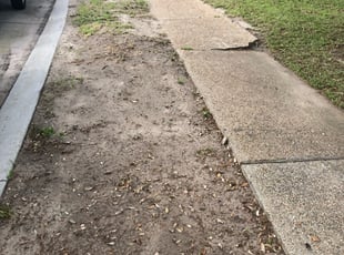 Leaf Removal by Julio Farfan for William K. in New Orleans, LA