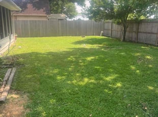 Lourd A.'s Lawn Mowing service result