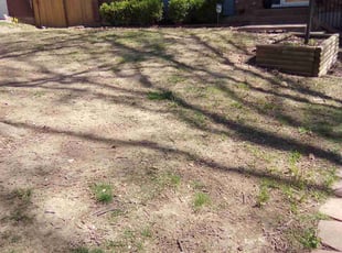 Leaf Removal by KK Green Grass for Brandon B. in Overland Park, KS
