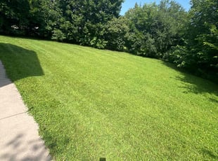 Ryan D.'s Lawn Care service result