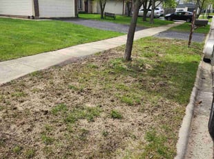 Aeration by Brooke Ardoin for Richie S. in Bolingbrook, IL